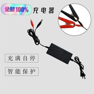 电容强启充电器超级电容充电器恒流不用串灯泡12伏充电器。