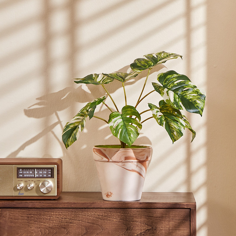 森空间仿真绿植室内客厅办公室桌面小盆栽植物摆件高级感简约装饰