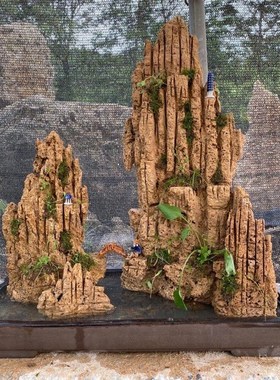 精品上水石假山盆景吸水石天然奇石原石创意礼品家庭景观奇石装饰