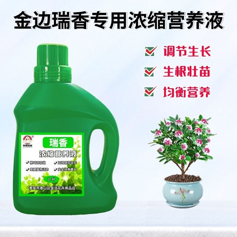 金边瑞香专用浓缩营养液家用盆栽绿植物催花通用氮磷钾养花卉肥料