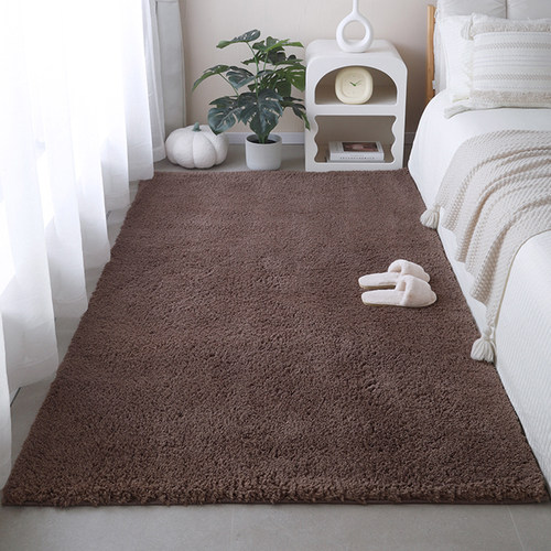 美拉德长毛绒地毯卧室床边毯2024新款秋冬季房间床前床尾床下地垫