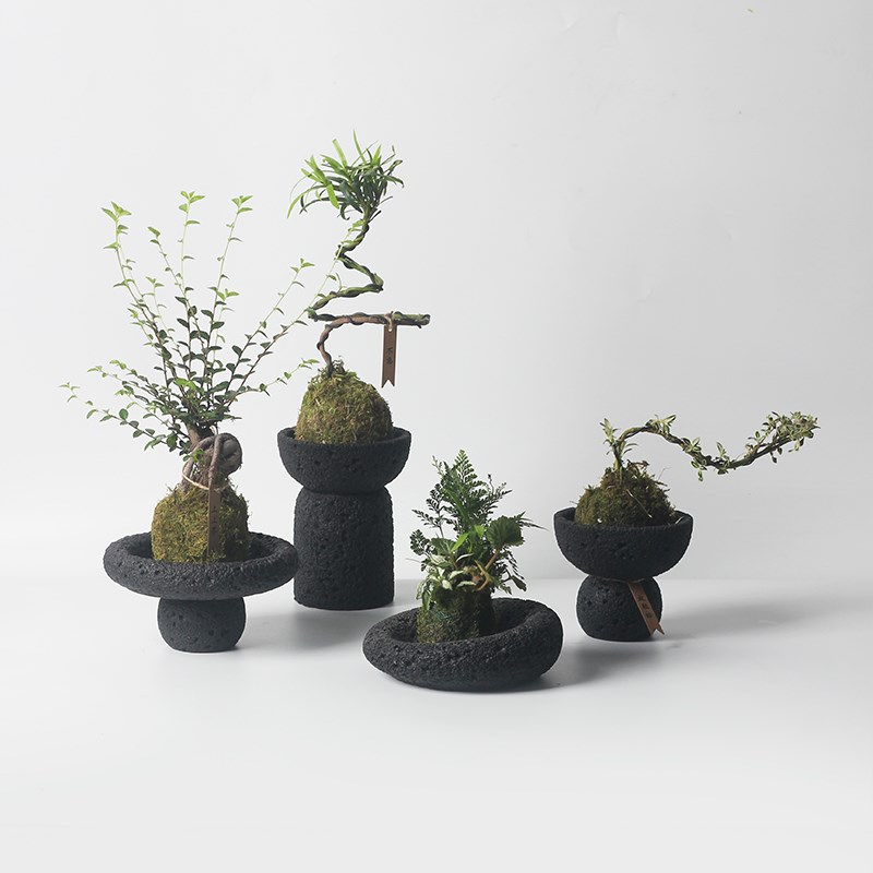 北欧简约暗黑月球纹奶油风系室内景观盆复古N花插蕨类山乌龟水泥