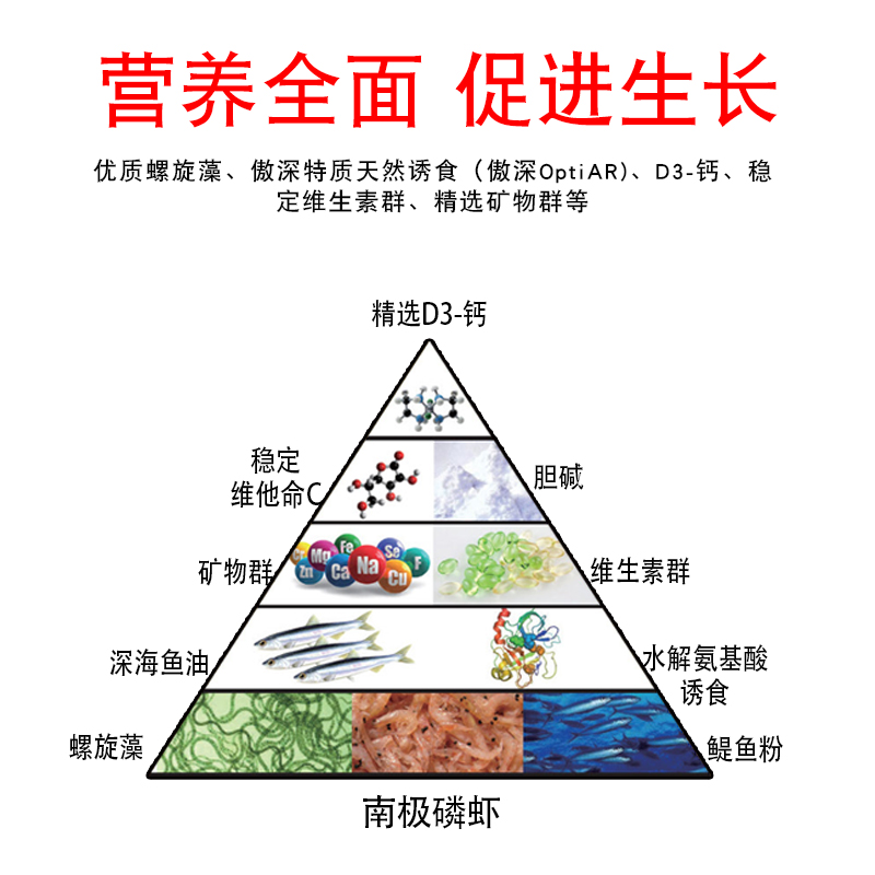 仟湖 傲深龙鱼饲料 AR-G1 G2金龙红龙鱼御用饲料金龙红龙银龙包邮