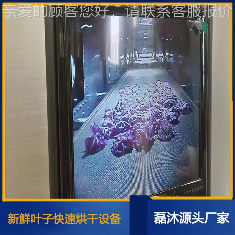 鲜花微波设烘干备 LM-20KW-流水线式花茶O干备 自设动化控燥制