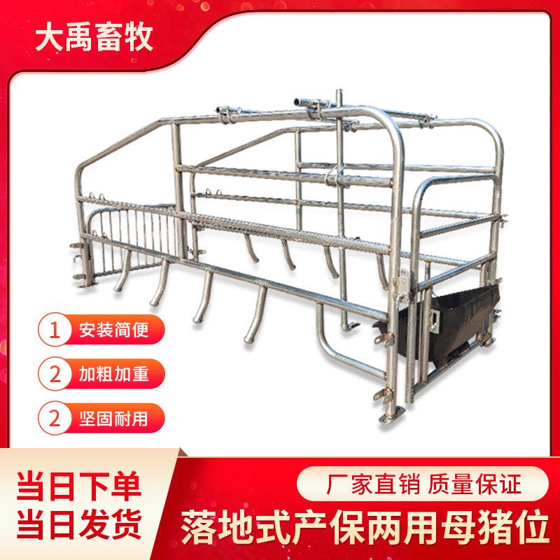 落地式产床母猪产床简易产床厂家直销单体双体产床限位栏