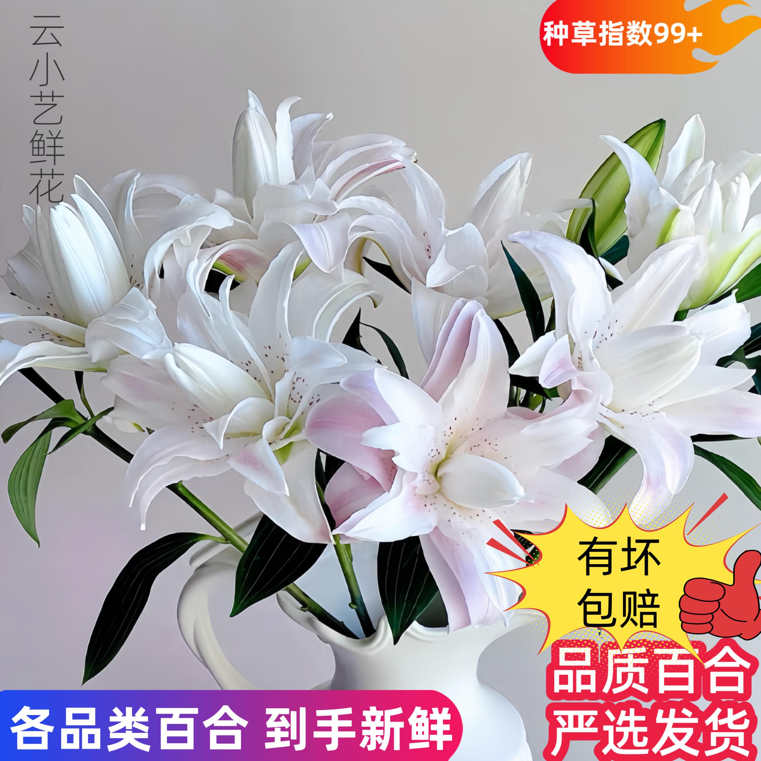 云南直发鲜切花水培养花各品类超连结香水百合花束高级感瓶插花真