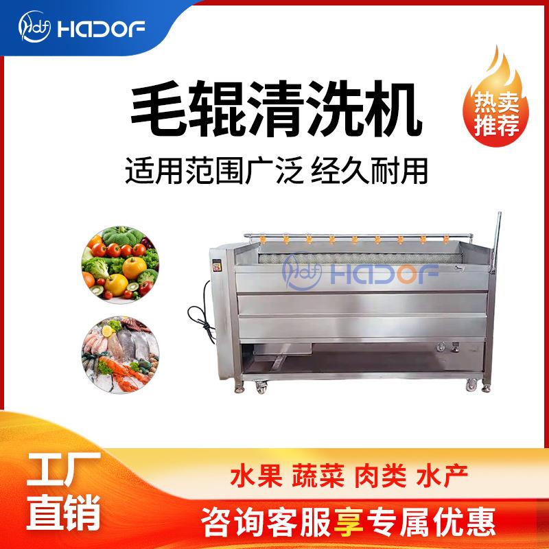 厂家全自动马蹄荸荠毛辊去皮清洗机葛根土豆红薯去泥毛刷清洗设备