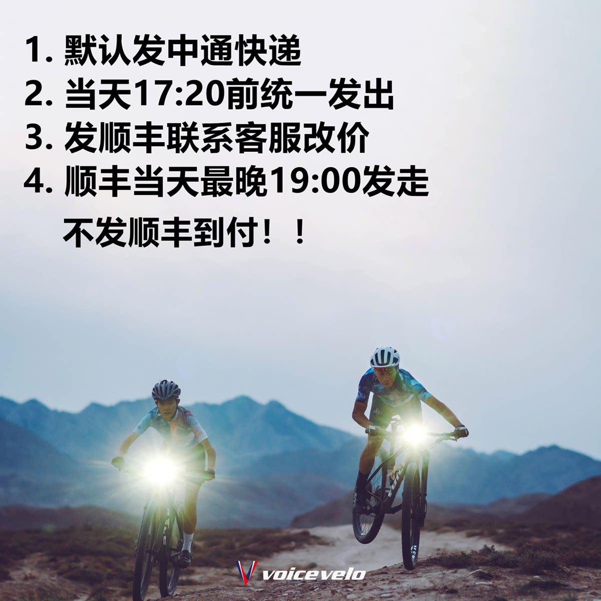 VOICE 好声音 碳纤维前叉专用蓬胀吊心 原厂【现货】