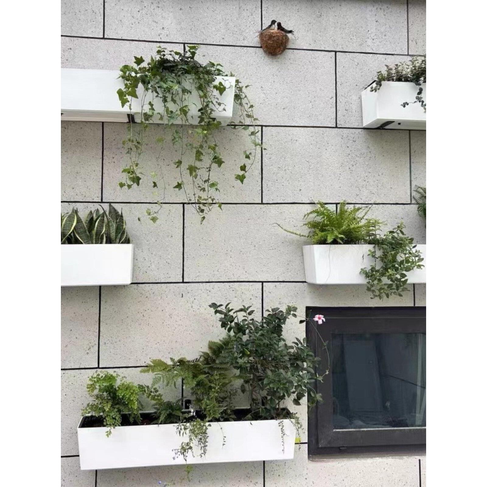 金叶子阳台长方形花盆壁挂自动吸水懒人创意墙壁懒人菜种植箱菜盆