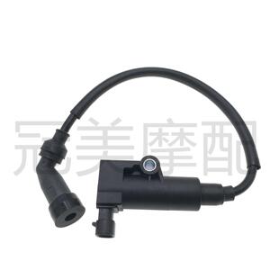 适用春风摩托车ST狒狒CF125-3德尔福点火线圈高压包点火器