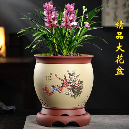 精品紫砂花盆带底座大口径君子兰花盆墨兰建兰群兰客厅大花蕙兰盆