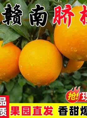 江西赣南脐橙橙子新鲜水果当季整箱10斤正宗精品冰糖赣州甜5礼盒