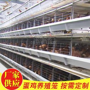 全自动层叠蛋鸡笼畜牧养殖机械设备五层层叠蛋鸡笼全自动捡蛋机