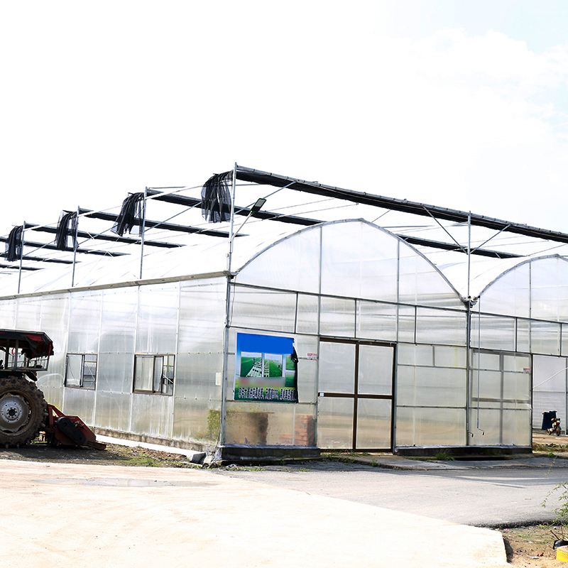 薄膜棚膜 大棚膜无滴膜 保温朔料布温室大棚膜抗老化大棚膜二层膜