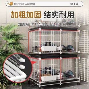 鴿子籠家用特大號養鴿子籠巢箱新型養殖柯爾鴨配對籠鴿舍鴿籠