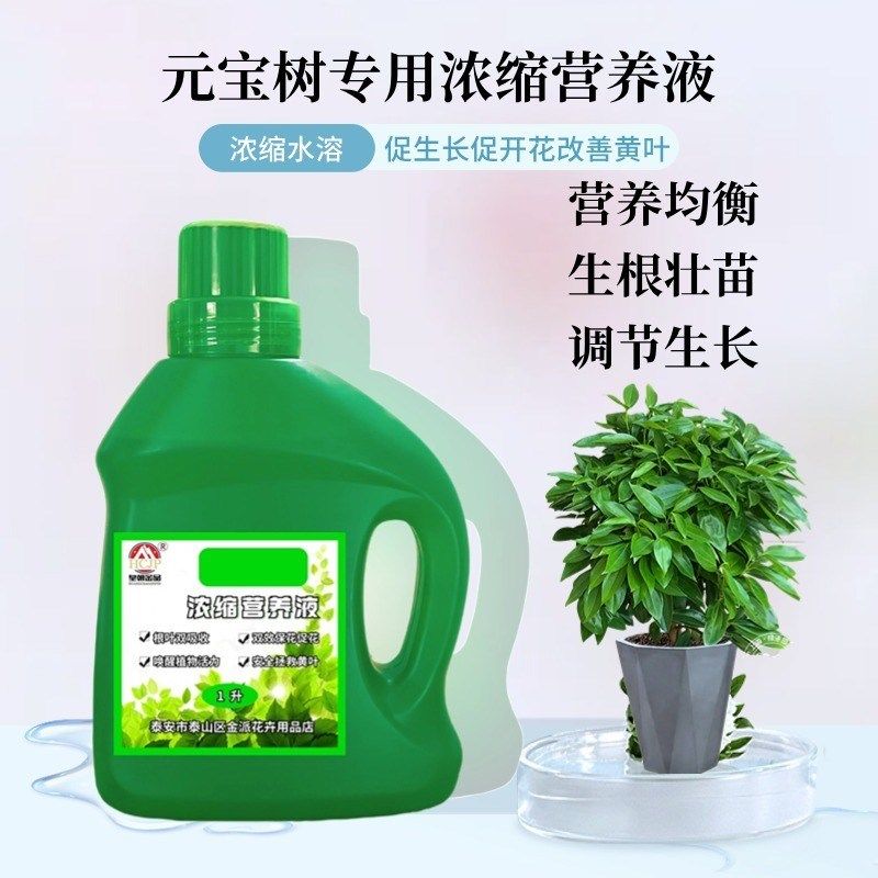 元宝树专用肥高浓缩营养液室内客厅盆景观叶绿植氮磷钾水溶养花肥