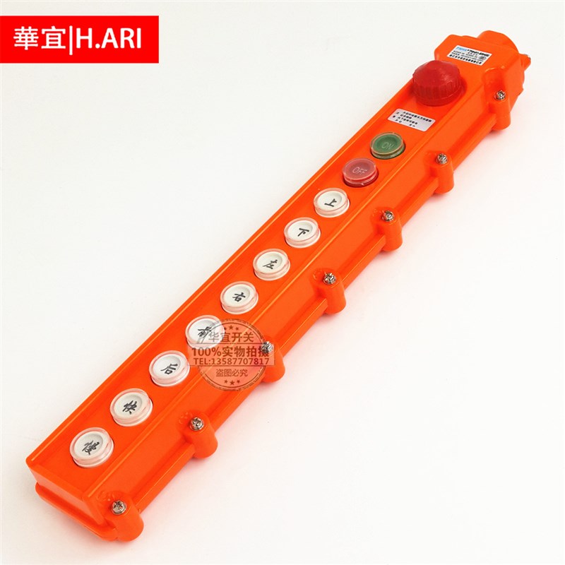 浙江天华 TNHA1-65HB COB-65HB 防水行车开关 起重按钮 10键带