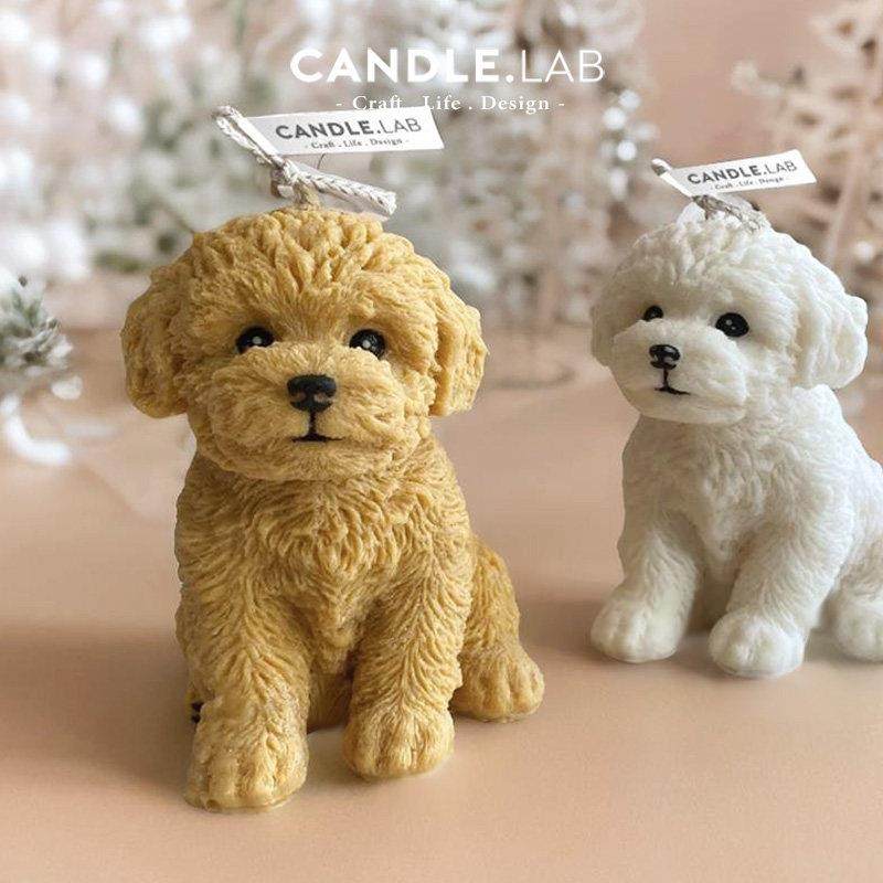 CANDLE.LAB | 逼真大号立体泰迪狗DIY手工香薰蜡烛扩香石硅胶模具,家居饰品,香薰DIY材料/工具,淘宝优惠券,粉丝福利购,淘宝优惠卷
