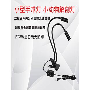 小型手术灯医院用聚光灯妇科检查灯小鼠动物实验室台灯射灯夹式