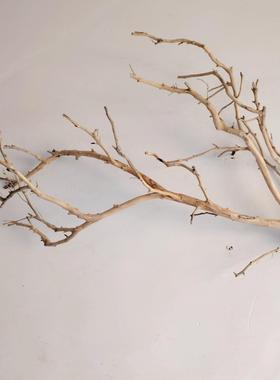 吊灯干枝分枝干树枝装饰树干枯枝室内天花板挂灯插花挂件舞台摆件