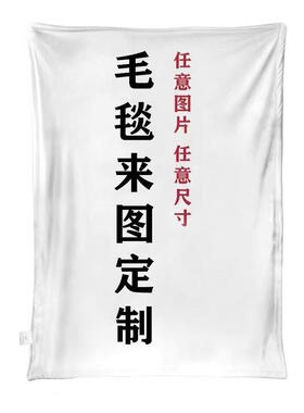 来图定制法莱绒毯子加厚刺绣法兰绒毯照片diy办公室午睡企业礼品