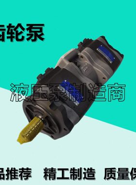 VOITH福伊特IPVP5-64 101内啮齿轮泵IPVP5-40 101油泵IPVP4/6/7