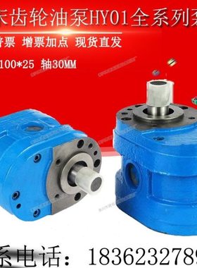 Y齿轮油泵 0-10252550-XH110700XX7014Y/*113杭州H00M7磨床025/25