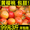 山东大樱桃黄水晶甜樱桃黄蜜黄樱桃新鲜水果烟台特产露天大樱桃甜