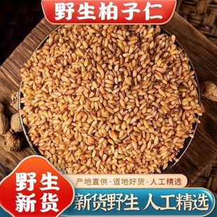 正品野生柏子仁新货中药材500g正宗去壳柏子仁茶柏籽仁柏仁白子仁