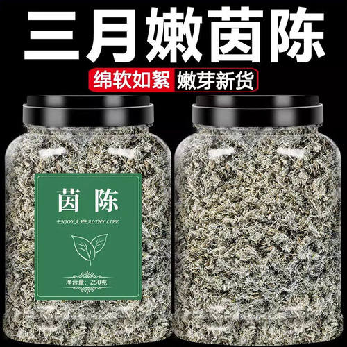 野生茵陈中药材新货官方正