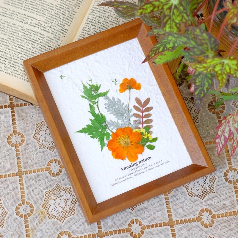 植物标本装饰画diy手作相框家居摆台复古百搭装饰画幼儿园手工图片