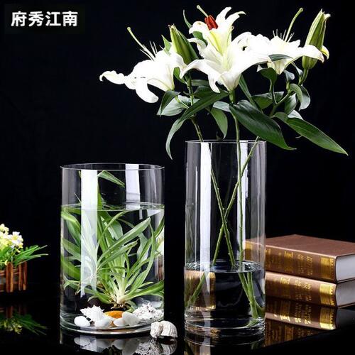 观音竹专用加厚宽口玻璃落地花瓶高透明水晶直筒水培摆件客厅插花