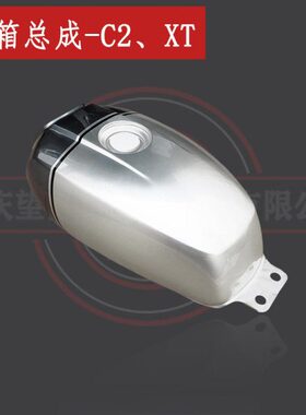 油箱总成XT带锁2配件不12油壶油箱-250L具灰色布雷斯通C-G3