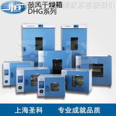 上海D验HG-92实40A电热鼓风干燥/烘箱烤DHG-9240箱箱室箱体箱子