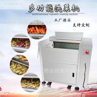 豆贸土去皮清洗机80易全动莲藕芋头红薯生姜脱皮生蚝毛自辊式 清洗