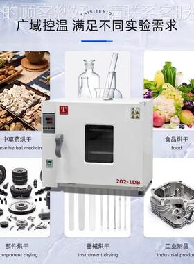天津泰验斯特202-0BB/1D/2D202-0DBDB/DB 实室高温烘箱电热恒温干
