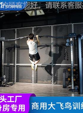 龙大飞鸟门小飞架鸟训48525练器多功能家用健身房材商用器力量运