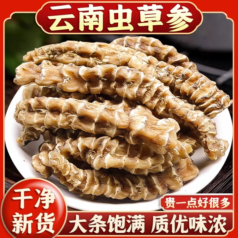 云南虫草参地参干中药材新鲜干货精选大条新货泡酒地蚕草石蚕地笋