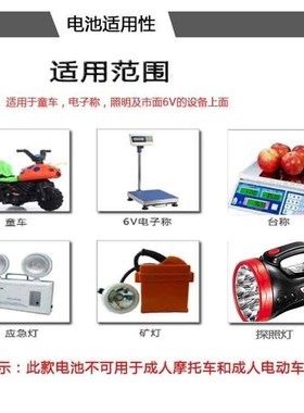 LX电池3-FM-4.0蓄电池LIXIN 6V4.0AH/20HR电瓶儿童玩具摩托车电池