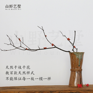 干支枝梅花艺插花瓶器复古干花枝干枝装饰摆件枯树枝禅意花束侘寂