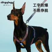 狗狗家用牵引绳柴犬柯基中小型犬宠物遛狗链子工字胸背带春秋款