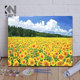 diy数字油画客厅风景花卉抽象定制手工填色涂鸦减压装 向日葵 饰画