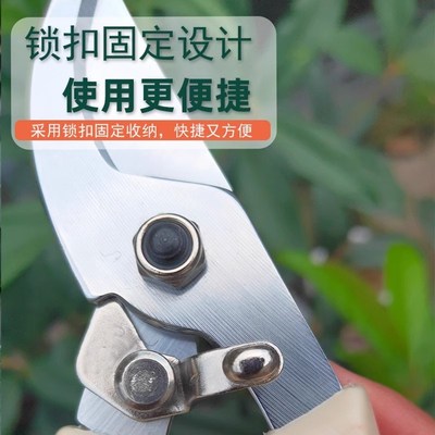 剪刀修枝剪果树剪子花剪园艺家用强力园林手剪大号不锈钢花卉绿化