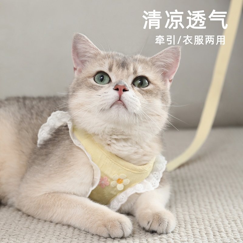 猫咪牵引绳防挣脱外出专用溜猫背心式胸背带小型犬狗狗防跑遛猫绳,宠物/宠物食品及用品,猫牵引绳,淘宝优惠券,粉丝福利购,淘宝优惠卷
