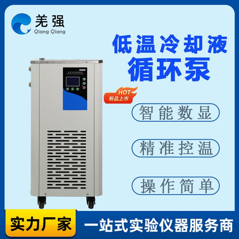 低温冷却液循环泵中型低温冷却液循环泵实验室DLSB循环泵制冷机