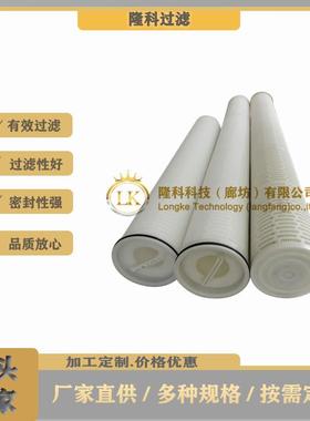 40寸大流量水滤芯DFM40PP005A01保安滤芯大流量PP折叠水滤