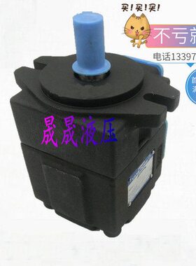 5/ 75/R 9ON机Y-532V2//G仙H37压41居弘叶片泵65///-F油P3一264RI