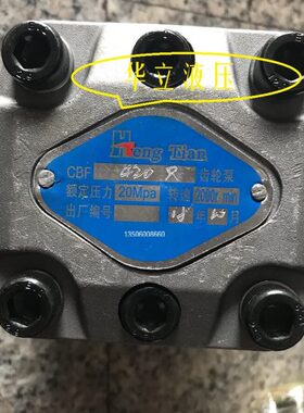 CBF-F420AL HENG TIAN齿轮泵 石材机齿轮泵CBF-F420AL CBF-F432AL