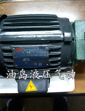 /15电机油泵配组 P泵P20V液压系统  组 12/V1油泵机HPPV