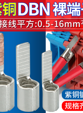 DBN紫铜插片型冷压接线端子1.25/2/5.5-10/14/18插针形线耳线鼻子